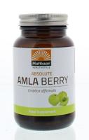 Vegan Amla Berry - thumbnail