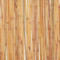 VidaXL Scherm 500x30 cm bamboe - thumbnail
