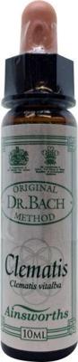 Ainsworths Clematis Bach 10 Milliliter Ainsworths Clematis Bach 10 Milliliter