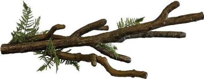 Branch xl Repto - Repto