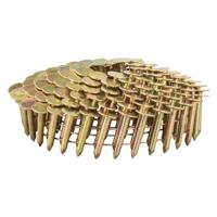 Makita Accessoires Asfaltnagel 3,1x22mm - F-30762 - thumbnail