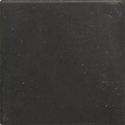Excluton Tegel 30x30x4,5 cm zwart met pallet (4x4x4) (120 stuks per pak)