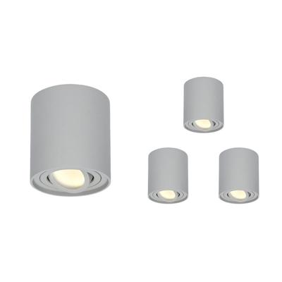 Set van 4 Ray LED opbouwspots - Rond - Dimbaar - 4 Watt 345 lumen - 2700K warm wit - Kantelbaar - GU10 - Plafondspot - IP20 Voor binnen - Grijs Set van 4 Ray LED opbouwspots - Rond - Dimbaar - 4 Watt 345 lumen - 2700K warm wit - Kantelbaar - GU10 - Plafondspot - IP20 Voor binnen - Grijs