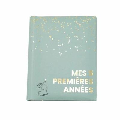 Geboorteboek - DOMIVA - Sauge Gold - Eerste 5 jaar - 100 geïllustreerde pagina's