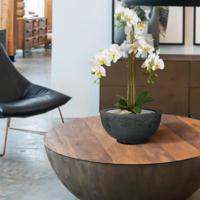 Phalaenopsis kunst Orchidee 75cm wit - thumbnail