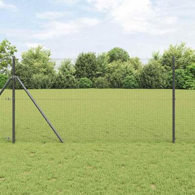 Gelaste draadhek Grijs 1.2 x 50 m Staal