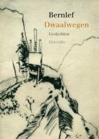 Dwaalwegen (Paperback) - thumbnail