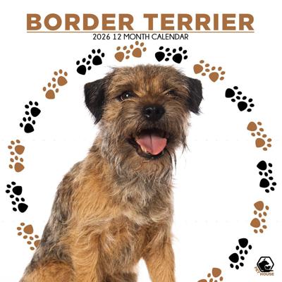 Border Terrier Kalender 2026