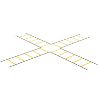 Agility Ladder - Focus Fitness - Viervoudige ladder - thumbnail
