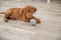 Trixie junior knoopbal touw - thumbnail