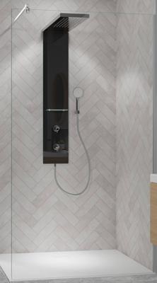 Ben Vivid inloopdouche incl. antikalk 120x200cm geborsteld nikkel