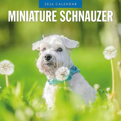 Miniatuur Schnauzer Kalender 2026