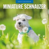 Miniatuur Schnauzer Kalender 2026 - thumbnail