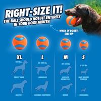 CHUCKIT FETCH MEDLEY GEN 3 - thumbnail