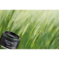 Pentax 50mm F/1.4 HD FA - thumbnail