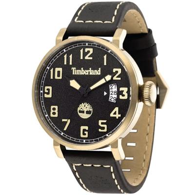 Unisex horloge Timberland TBL.14861JSK-02 (Ø 46 mm)