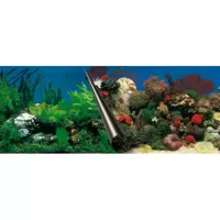 Europet Foto Achterwand Stone & Coral 40x80cm - thumbnail