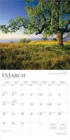 The Majesty of Trees Kalender 2026 - thumbnail