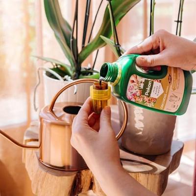 Pokon Orchidee Voeding Bio 500ml