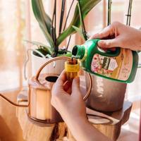 Pokon Orchidee Voeding Bio 500ml - thumbnail