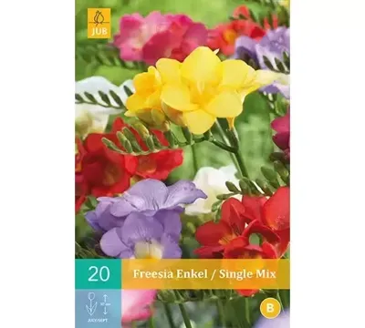 Bloembollen Freesia Enkel Mix 15st