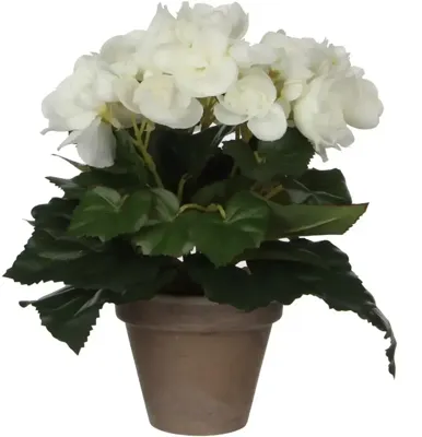 Mica Decorations kunstplant begonia 25cm wit