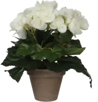 Mica Decorations kunstplant begonia 25cm wit - thumbnail
