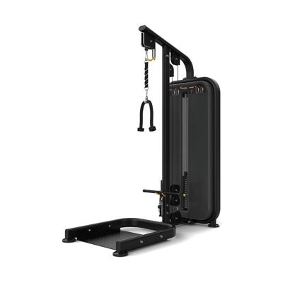 Vision Fitness biceps/triceps