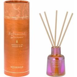 Riverdale Geurstokjes Mylla oranje 100ml