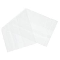 Blockland Zak transparant LDPE 27 x 10 x 4cm (1000 st) - thumbnail