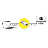 VALUE DisplayPort Adapter, DP Male - Mini DP Female - thumbnail