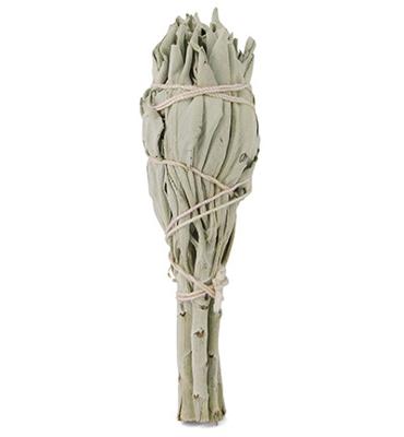 Ruben Robijn Saliebosje 12 cm 1 Stuks