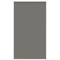 Rolgordijn verduisterend 120x230 cm stofbreedte 116,6 cm grijs - thumbnail