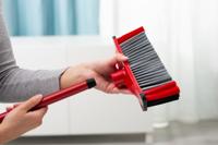 Borstel Vileda - thumbnail