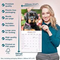 Dobermann Kalender 2026 - thumbnail