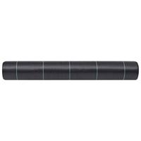 Worteldoek 2x25 m PP zwart - thumbnail