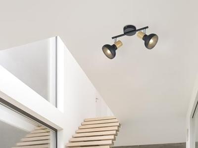 Trio PlafondlampLatika 2-lichts zwart - R81522032