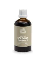 Mattisson HealthStyle Biologisch Solidago Complex Druppels - thumbnail