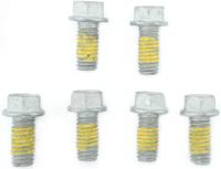 TRW bouten-set screw set 6pcs. m6x1 - thumbnail