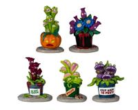Lemax hungry houseplant horror s/5 accessoire Spooky Town 2024 - thumbnail