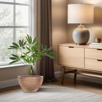 Philodendron Fun Bun Kunstplant 80cm Deluxe - thumbnail