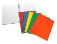 SPIRAALSCHRIFT 60BL. GERUIT ft 16,5 x 21 cm, 120 bladzijden, geruit 5 mm - thumbnail