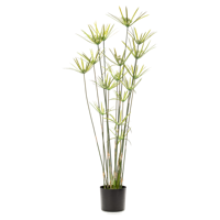 Wants&Needs Plants Kunstplant Cyperus - thumbnail