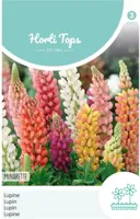 Zaden Lupinus Lupine Minarette gemengd Hortitops - Hortitops - thumbnail