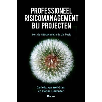 Professioneel risicomanagement bij projecten (Paperback)