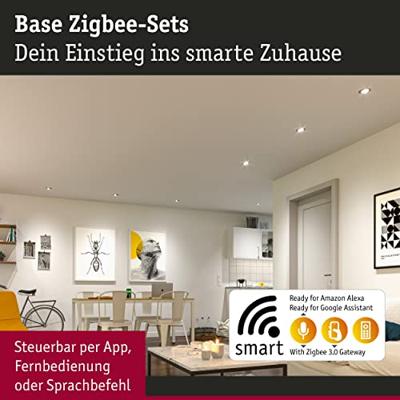 Paulmann 92464 LED-inbouwlamp Set van 3 stuks LED 14.7 W IJzer (geborsteld)