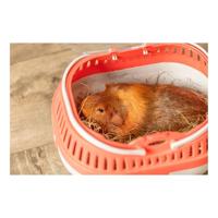 Draagmand Trixie Plastic 30 × 21 × 23 CM - thumbnail