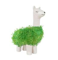 Gift Republic Llama Planter met zaden (aardewerk) - thumbnail