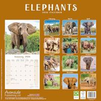 Olifanten Kalender 2026 - thumbnail