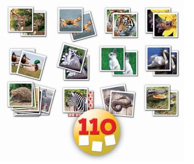 Goochelspel Educa 17473